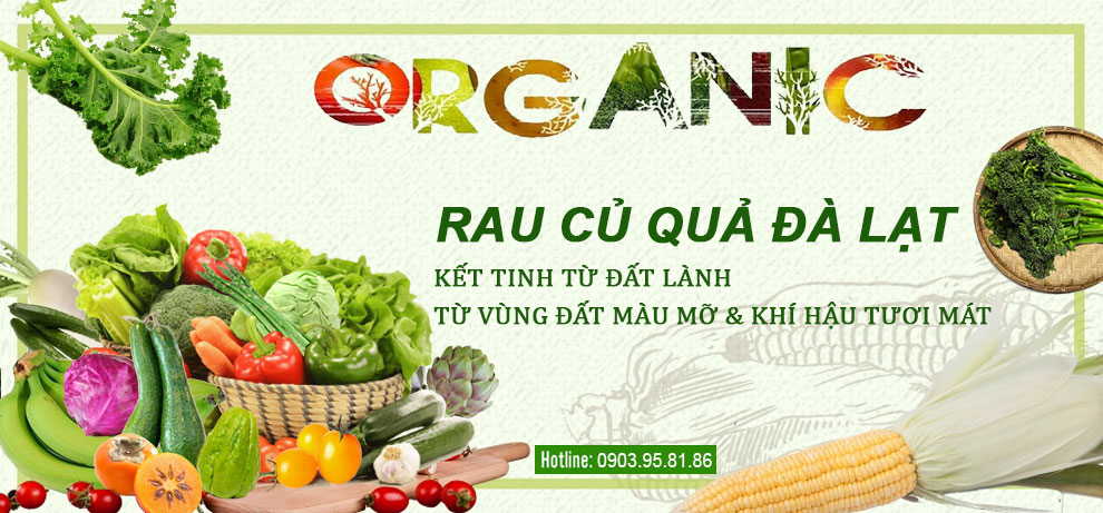 RAU CỦ ĐÀ LẠT BÌNH ỔN GIÁ