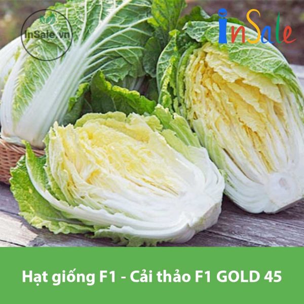 Hat giong F1 Cai thao F1 GOLD 45