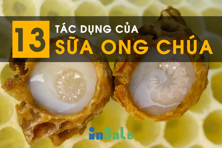 Sữa ong chúa có tác dụng gì đối với sức khỏe và sắc đẹp