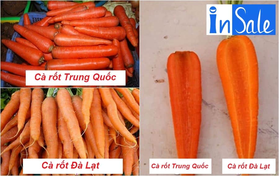 Cách phân biệt cà rốt Đà Lạt và cà rốt trung quốc?