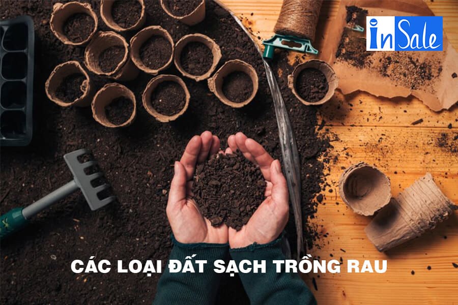 Các loại đất sạch trồng rau