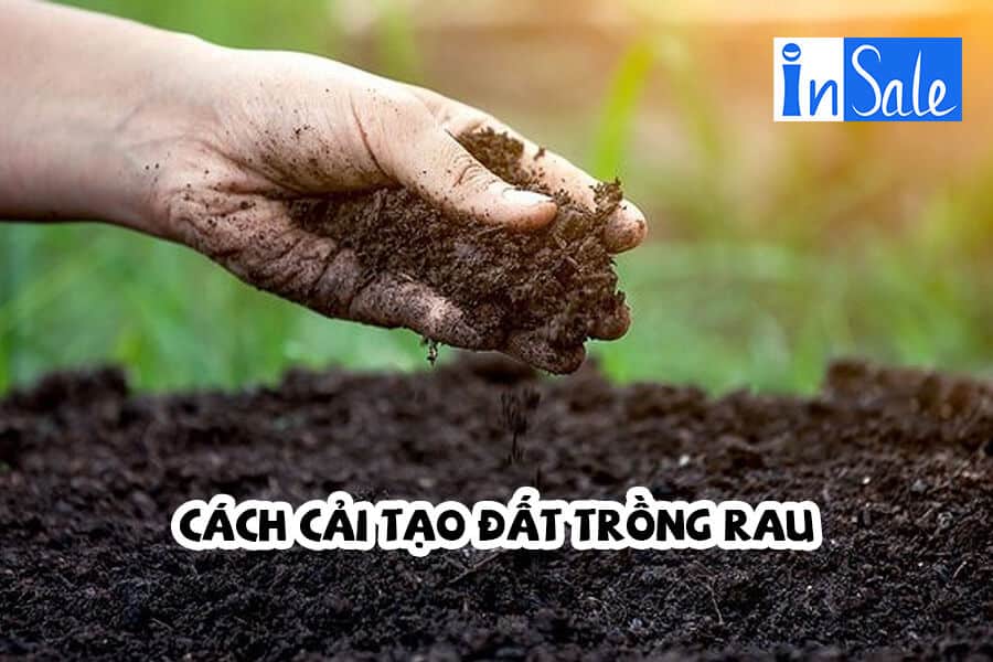 Cách cải tạo đất trồng rau