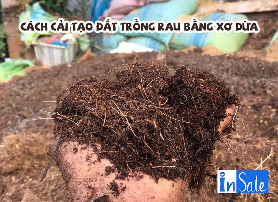 Cách cải tạo đất trồng rau bằng xơ dừa