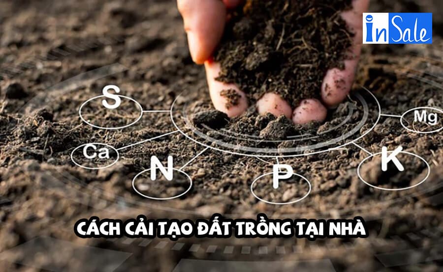 Cách cải tạo đất trồng tại nhà