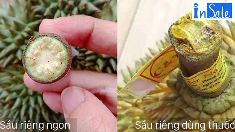 Phần biệt sầu riêng chín cây & sầu riêng nhúng thuốc qua cuống