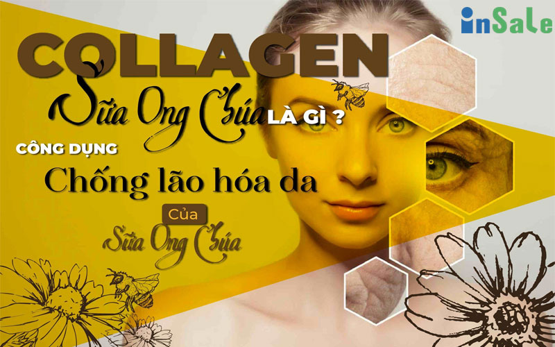 Những tác dụng thần kỹ của sữa ong chúa mà bạn cần biêts