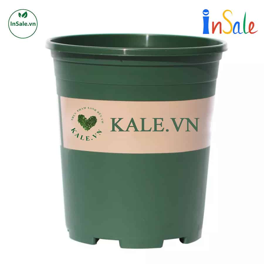 Chậu nhựa Kale 5 gallon