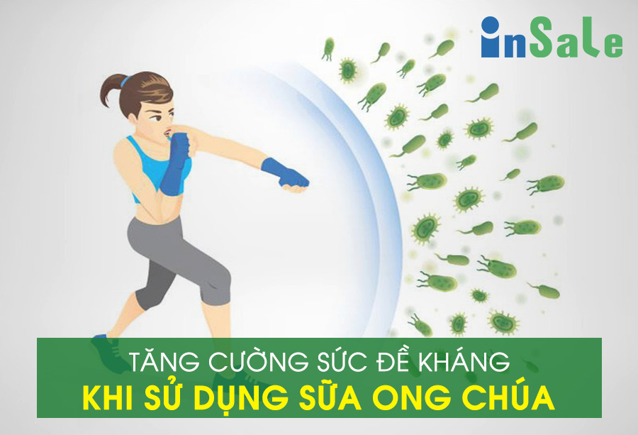 Công dụng của sữa ong chúa giúp tăng cường sức đề kháng