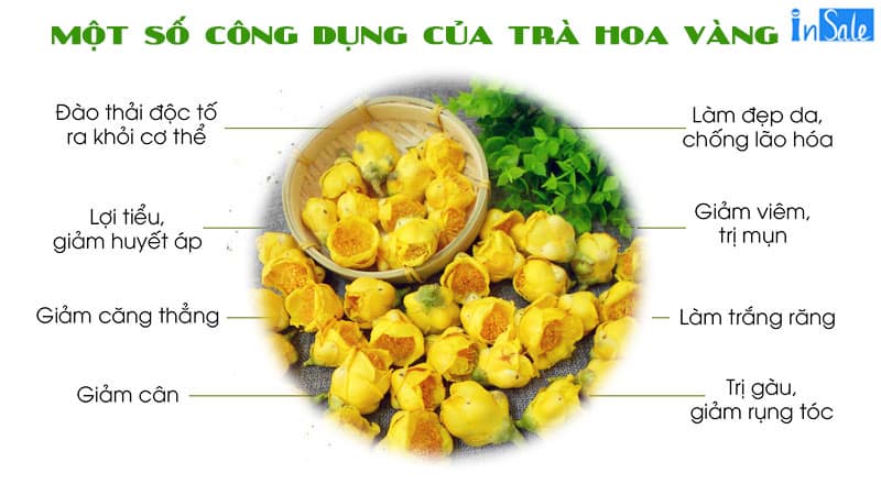 Một số công dụng của trà hoa vàng