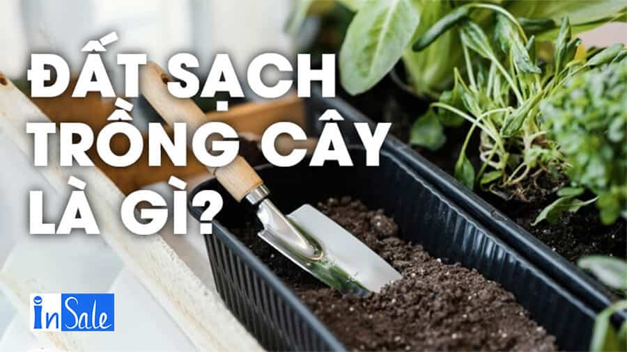 Đất sạch trồng cây là đất đã được xử lý mầm bệnh và chất gây hại