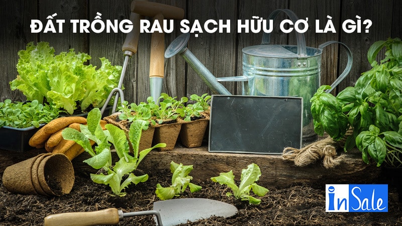 Đất trồng rau sạch hữu cơ