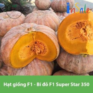 Hat giong F1 Bi do F1 Super Star 350