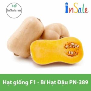 Hat giong F1 Bi Hat Dau PN 389