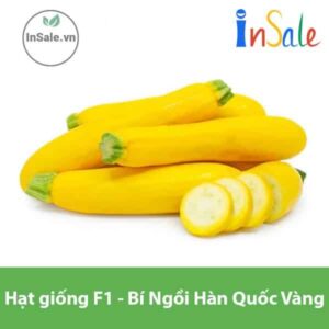 Hat giong F1 Bi Ngoi Han Quoc Trai vang