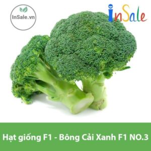 Hat giong F1 Bong Cai Xanh F1 NO.3