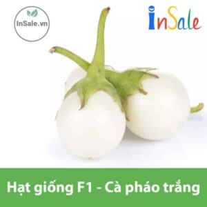 Hat giong F1 Ca phao trang