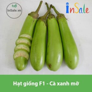 Hat giong F1 Ca xanh mo