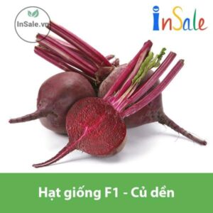 Hat giong F1 Cu den