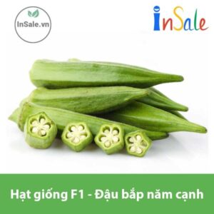 Hat giong F1 Dau bap nam canh