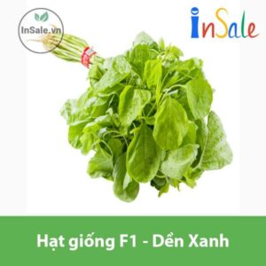 Hat giong F1 Den Xanh