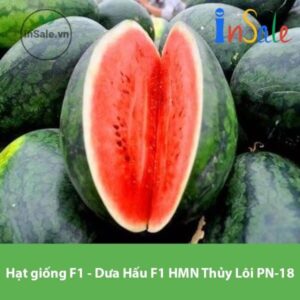 Hat giong F1 Dua Hau F1 HMN Thuy Loi PN 18