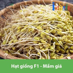 Hat giong F1 mam gia