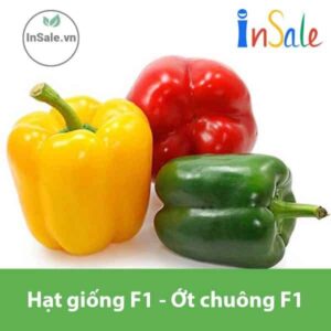 Hat giong F1 ot chuong f1