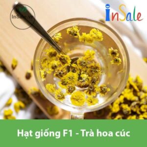 Hat giong F1 tra hoa cuc