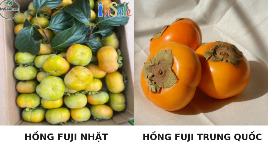 Hồng Fuji Nhật và hồng