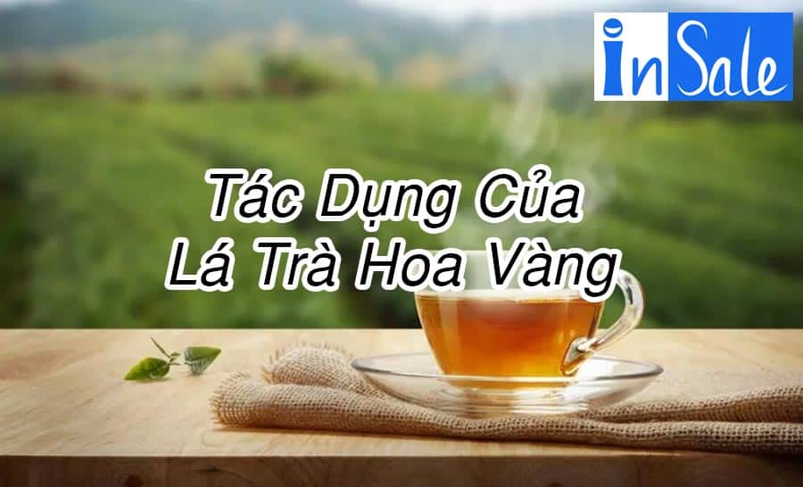 Lá trà hoa vàng có nhiều dưỡng chất quý