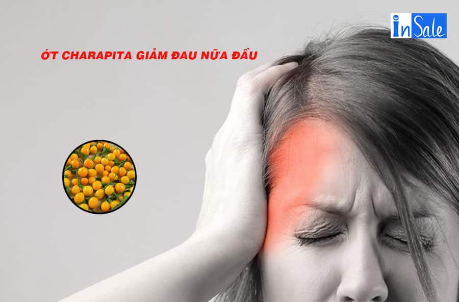 Ớt Charapita giảm đau nửa đầu