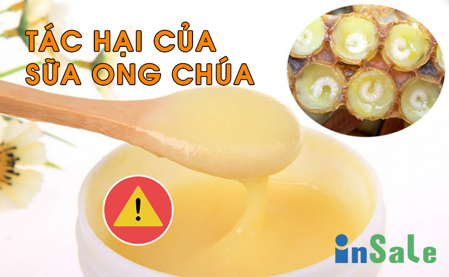 Sữa ong chúa chiết xuất thiên nhiên nên hoàn toàn lành tính