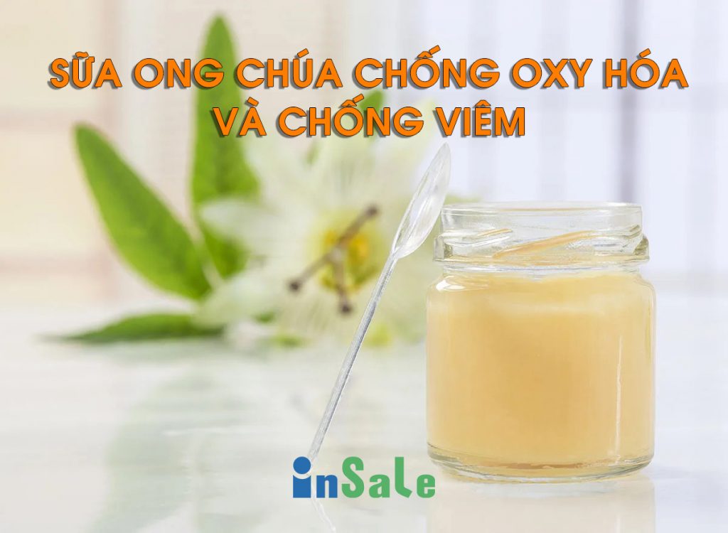 Sữa ong chúa chống oxy hóa và chống viêm hiệu quả