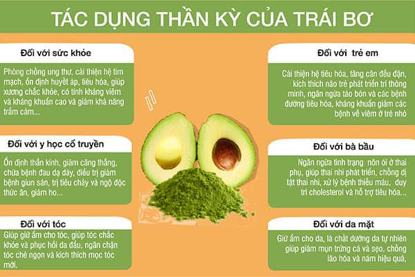 Tác dụng của bột bơ đối với sức khỏe