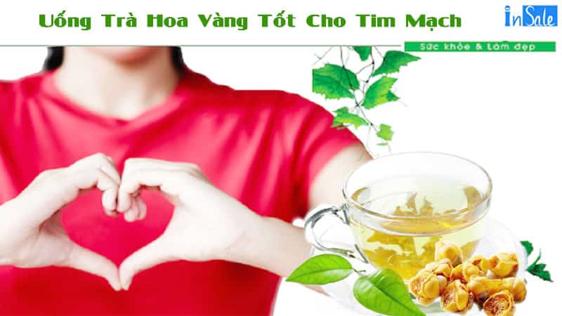 Uống trà hoa vàng rất tốt cho tim mạch